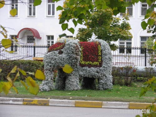 Фоторепортаж с матча Сатурн - Локомотив