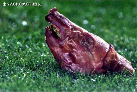 16 предметов, которые выбрасывали на поле