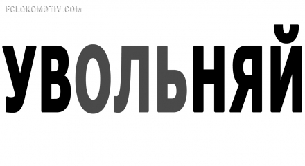 НТВ не покажет акцию протеста против Смородской