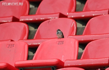 Какой-никакой, а свой