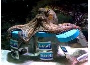 Конкурс прогнозистов Конкурс прогнозистов