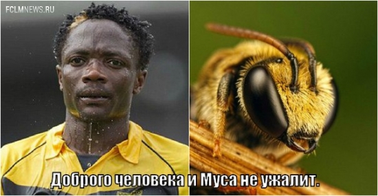 20 главных пословиц и поговорок о российском футболе