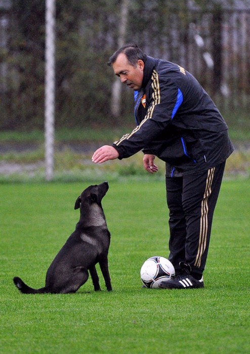 Как это работает. Массажисты РФПЛ