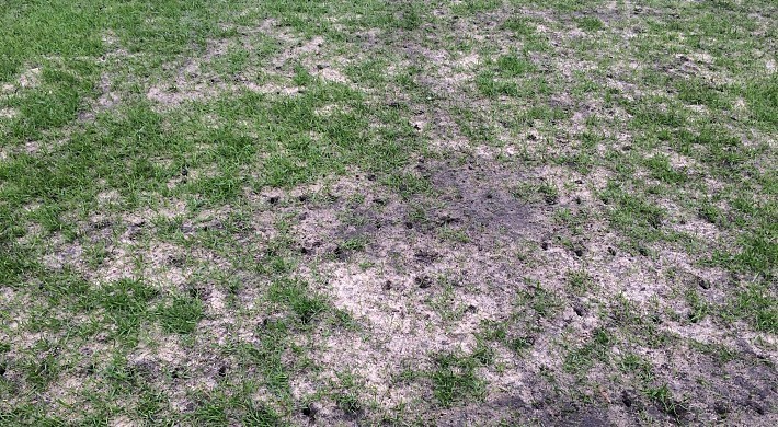 Спортивный директор РФПЛ Виктор Пышкин р