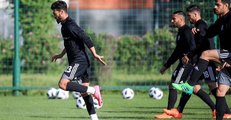 По словам вратаря иранской сборной Алире