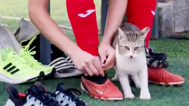 «Локомотив» выложил забавное видео со сб