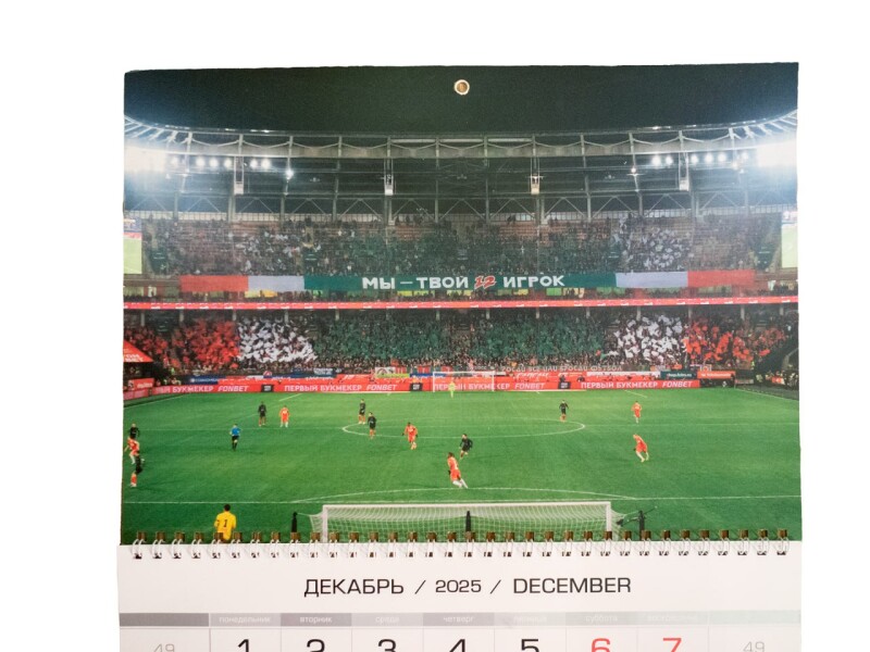 болельщики